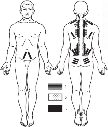 Иллюстрация к книге — Массаж. Уроки великого мастера [_122.jpg]
