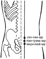 Иллюстрация к книге — Массаж. Уроки великого мастера [_131.jpg]