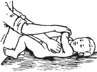 Иллюстрация к книге — Массаж. Уроки великого мастера [_165.jpg]