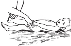 Иллюстрация к книге — Массаж. Уроки великого мастера [_171.jpg]