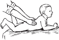 Иллюстрация к книге — Массаж. Уроки великого мастера [_176.jpg]