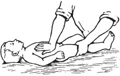 Иллюстрация к книге — Массаж. Уроки великого мастера [_178.jpg]