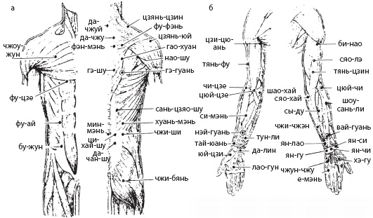 Иллюстрация к книге — Массаж. Уроки великого мастера [_183.jpg]