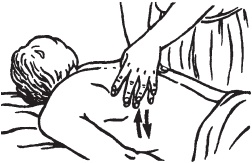 Иллюстрация к книге — Массаж. Уроки великого мастера [_31.jpg]