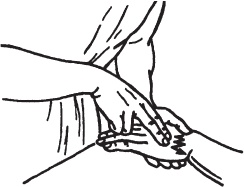 Иллюстрация к книге — Массаж. Уроки великого мастера [_37.jpg]