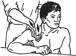 Иллюстрация к книге — Массаж. Уроки великого мастера [_40.jpg]