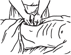 Иллюстрация к книге — Массаж. Уроки великого мастера [_50.jpg]