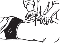 Иллюстрация к книге — Массаж. Уроки великого мастера [_53.jpg]