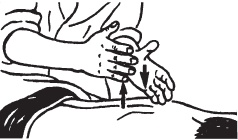 Иллюстрация к книге — Массаж. Уроки великого мастера [_56.jpg]