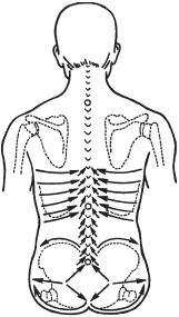 Иллюстрация к книге — Массаж. Уроки великого мастера [_65.jpg]