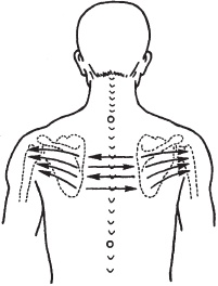 Иллюстрация к книге — Массаж. Уроки великого мастера [_66.jpg]
