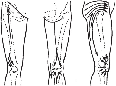Иллюстрация к книге — Массаж. Уроки великого мастера [_69.jpg]