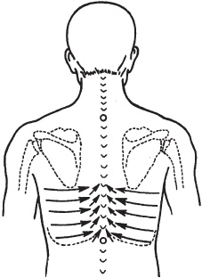Иллюстрация к книге — Массаж. Уроки великого мастера [_70.jpg]