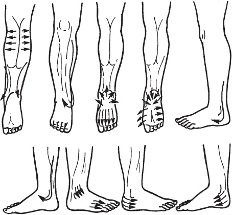 Иллюстрация к книге — Массаж. Уроки великого мастера [_74.jpg]