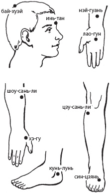 Иллюстрация к книге — Большой справочник по массажу [_102.jpg]