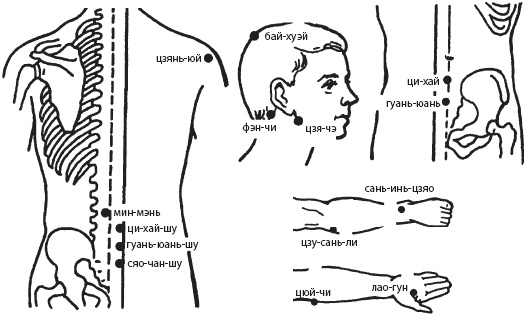 Иллюстрация к книге — Большой справочник по массажу [_106.jpg]