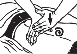 Иллюстрация к книге — Большой справочник по массажу [_113.jpg]