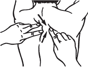 Иллюстрация к книге — Большой справочник по массажу [_115.jpg]