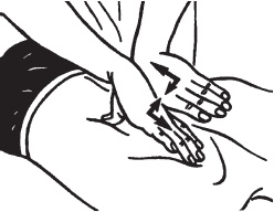 Иллюстрация к книге — Большой справочник по массажу [_117.jpg]