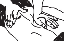 Иллюстрация к книге — Большой справочник по массажу [_118.jpg]