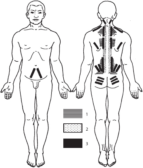 Иллюстрация к книге — Большой справочник по массажу [_127.jpg]
