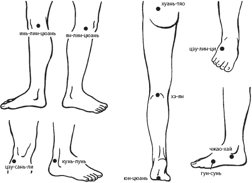 Иллюстрация к книге — Большой справочник по массажу [_133.jpg]