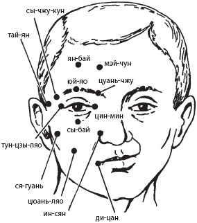 Иллюстрация к книге — Большой справочник по массажу [_139.jpg]