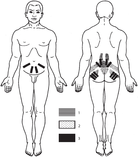 Иллюстрация к книге — Большой справочник по массажу [_141.jpg]