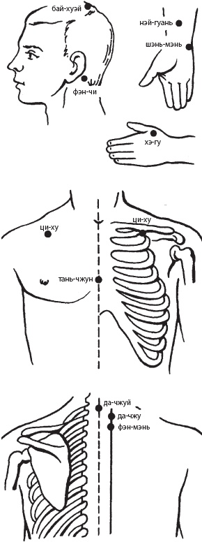 Иллюстрация к книге — Большой справочник по массажу [_145.jpg]