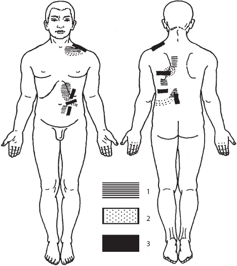 Иллюстрация к книге — Большой справочник по массажу [_153.jpg]