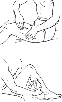 Иллюстрация к книге — Большой справочник по массажу [_164.jpg]