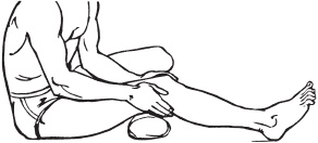 Иллюстрация к книге — Большой справочник по массажу [_165.jpg]