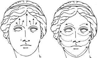 Иллюстрация к книге — Большой справочник по массажу [_169.jpg]