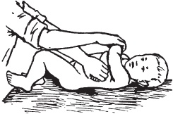 Иллюстрация к книге — Большой справочник по массажу [_170.jpg]