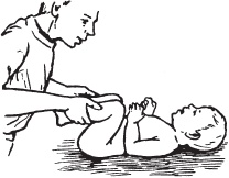 Иллюстрация к книге — Большой справочник по массажу [_172.jpg]