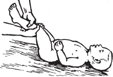 Иллюстрация к книге — Большой справочник по массажу [_177.jpg]