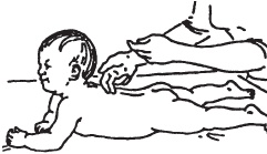 Иллюстрация к книге — Большой справочник по массажу [_182.jpg]