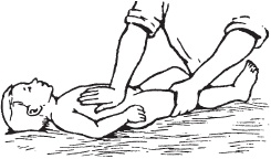 Иллюстрация к книге — Большой справочник по массажу [_183.jpg]