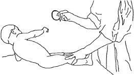 Иллюстрация к книге — Большой справочник по массажу [_186.jpg]