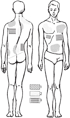 Иллюстрация к книге — Большой справочник по массажу [_187.jpg]
