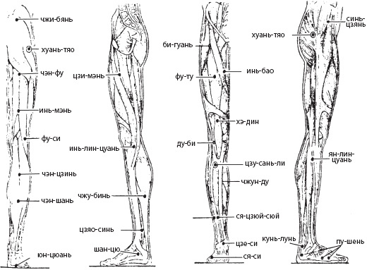 Иллюстрация к книге — Большой справочник по массажу [_189.jpg]