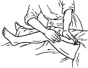 Иллюстрация к книге — Большой справочник по массажу [_28.jpg]