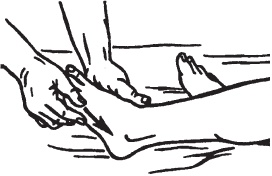 Иллюстрация к книге — Большой справочник по массажу [_30.jpg]