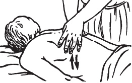 Иллюстрация к книге — Большой справочник по массажу [_31.jpg]