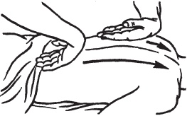 Иллюстрация к книге — Большой справочник по массажу [_32.jpg]