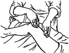 Иллюстрация к книге — Большой справочник по массажу [_38.jpg]