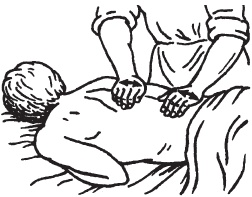 Иллюстрация к книге — Большой справочник по массажу [_49.jpg]