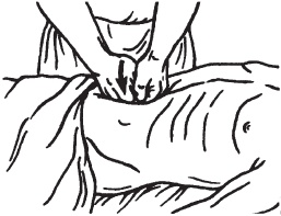 Иллюстрация к книге — Большой справочник по массажу [_50.jpg]