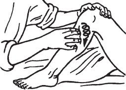 Иллюстрация к книге — Большой справочник по массажу [_52.jpg]