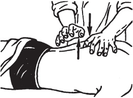 Иллюстрация к книге — Большой справочник по массажу [_53.jpg]